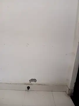 Sarita-school's cam snapshot