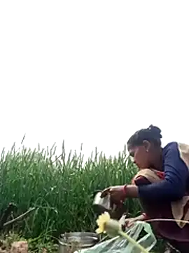 Hot-honi's cam snapshot