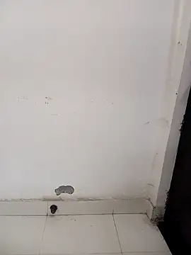 Sarita-school's cam snapshot