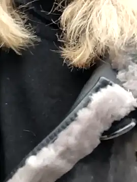 CassandraSandra44 live sex cam