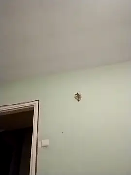 Alberna's cam snapshot