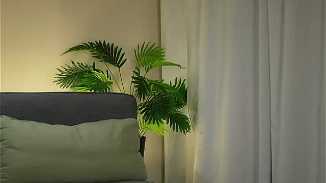 akumadadrive's cam snapshot