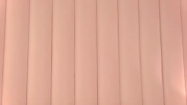 AshleyEvance's cam snapshot