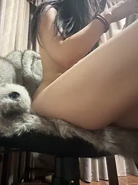 petoys's cam snapshot