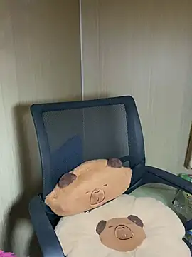 An-An19's cam snapshot