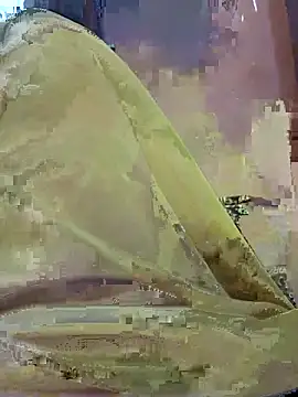 Saanvi-Sen's cam snapshot