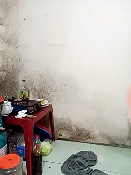 _phuonglan_ live sex cam