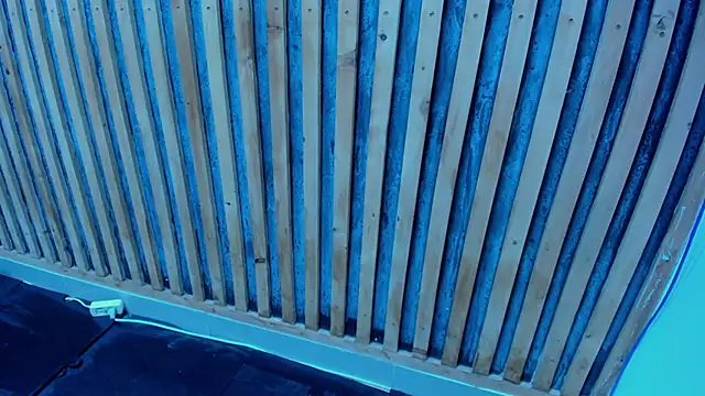 VelloTouch's cam snapshot