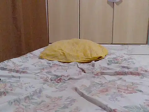 sweet-fancy's cam snapshot