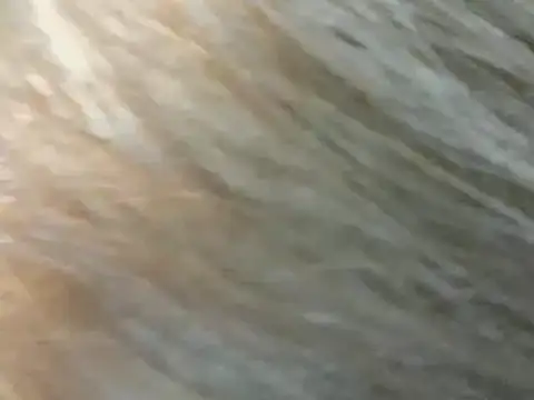 CandiCole's cam snapshot