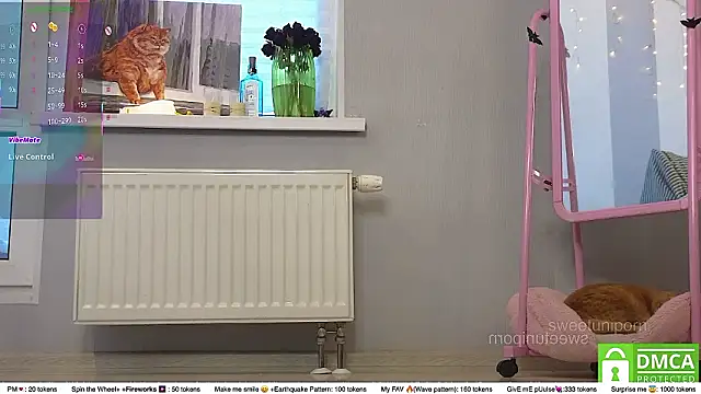 sweetuniporn's cam snapshot