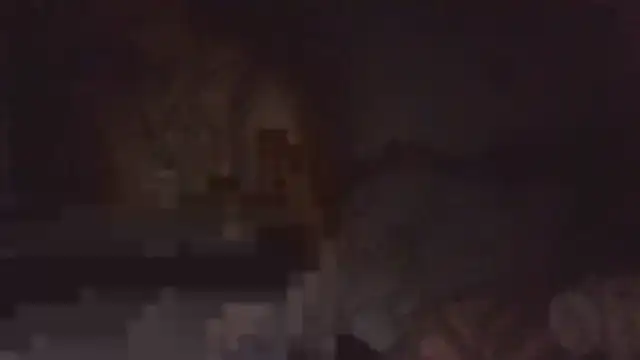 paradisejas's cam snapshot