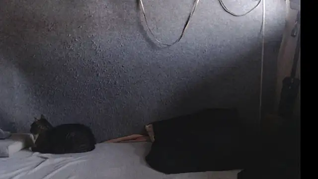 Mialy_slims's cam snapshot