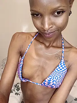 Nedambale's cam snapshot