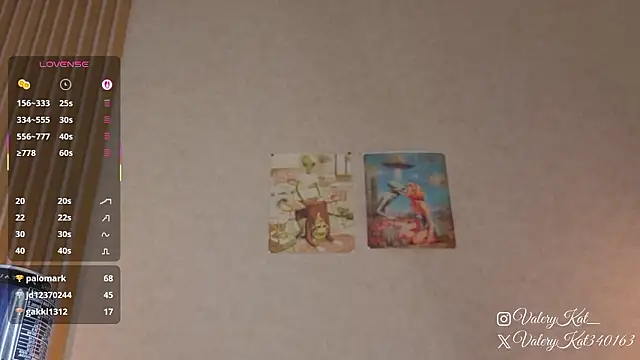 Valerykat_'s cam snapshot