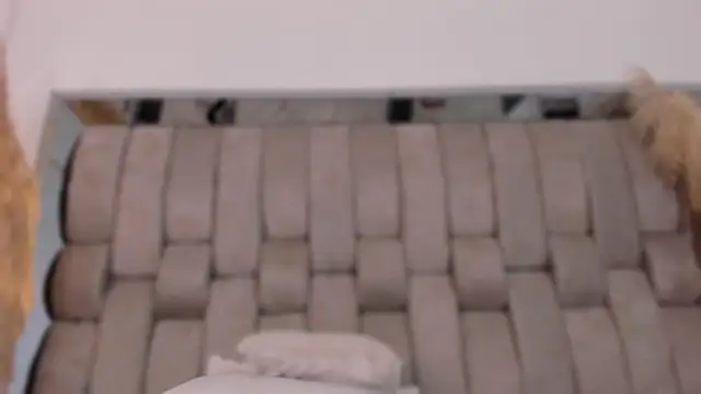 AlliJadid's cam snapshot