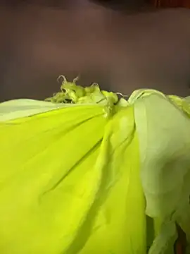 Miss_aerola live sex cam