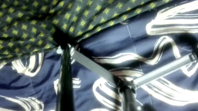 wilmaassylum's cam snapshot