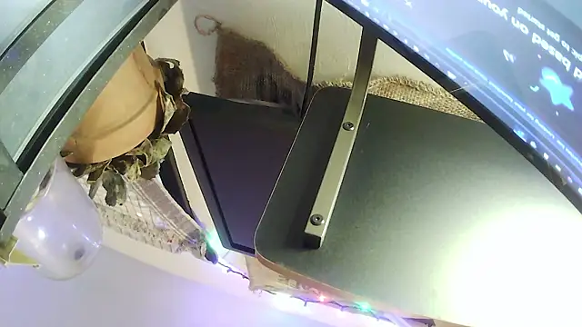 hungspundick1's cam snapshot