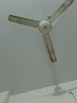 mistipriya's cam snapshot