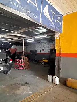 hecwil8 live sex cam