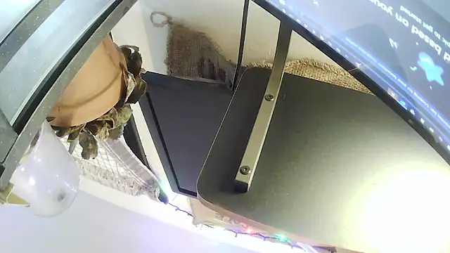 hungspundick1 live sex cam