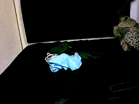 honeypotsweet's cam snapshot