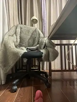 petoys's cam snapshot