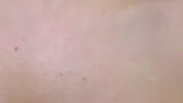 Theowonder's cam snapshot