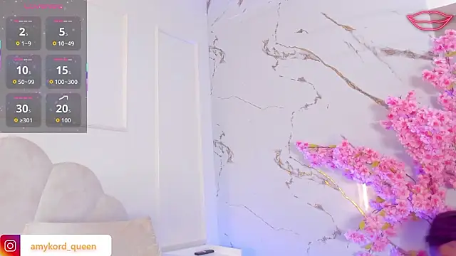 Amykord's cam snapshot