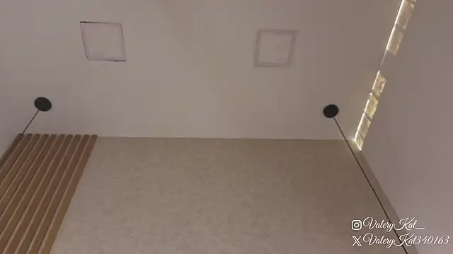 Valerykat_'s cam snapshot