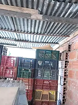 hoteder live sex cam