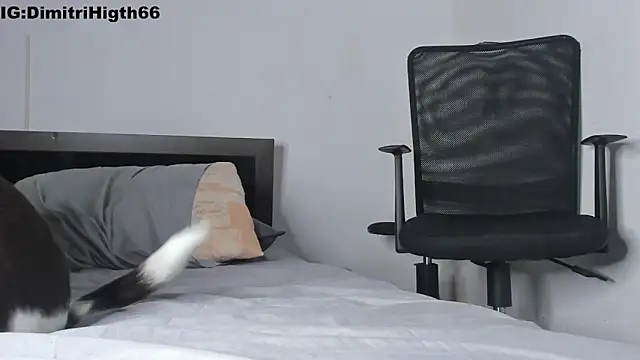 Dimitri_higth420 live sex cam