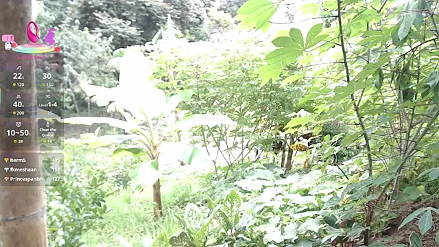 esmeralda_li's cam snapshot