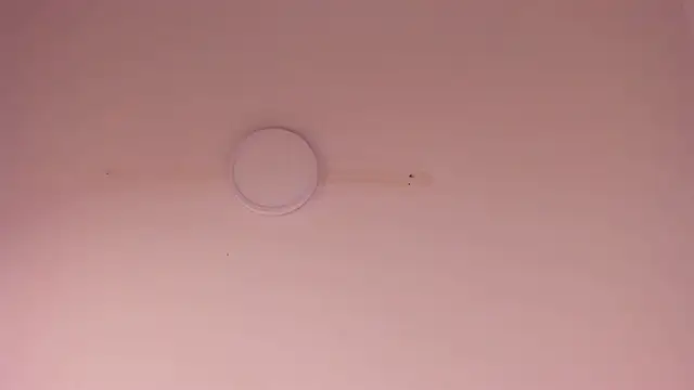 Lizeth_Salazar's cam snapshot