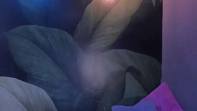 sweett_dirty's cam snapshot