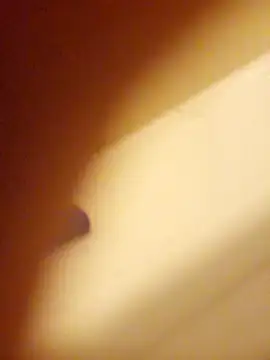 Bigdick420anal's cam snapshot