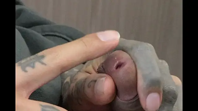 trieone live sex cam