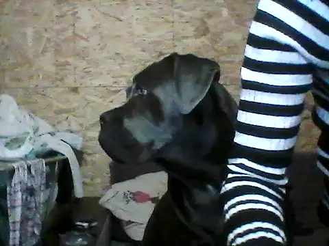 Milana38's cam snapshot