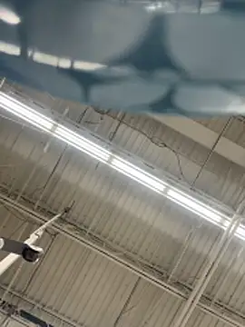 lolabunny9's cam snapshot