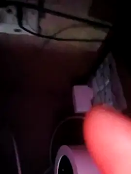 heena3355's cam snapshot