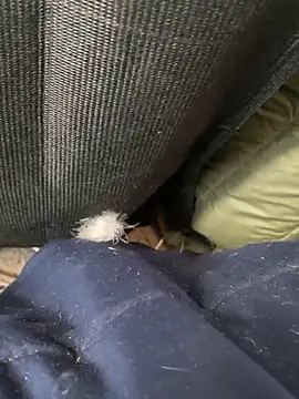 Hugetings's cam snapshot