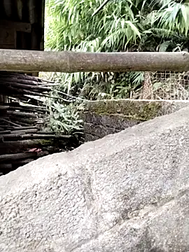 galaxy898's cam snapshot