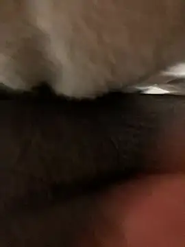 Kataliina's cam snapshot