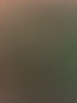 VendiMur's cam snapshot