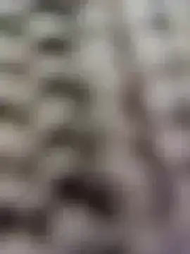 Hot-Sana2's cam snapshot