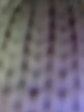 Hot-Sana2's cam snapshot