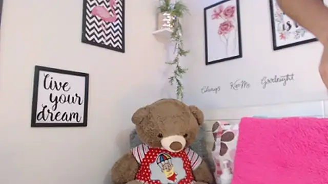 Joliet's cam snapshot