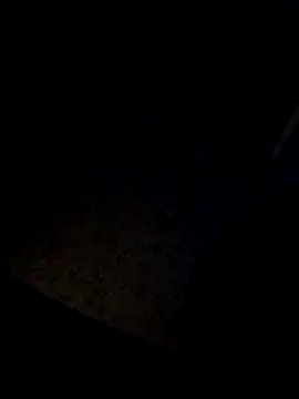 SO-UNICO's cam snapshot