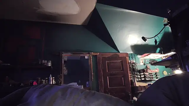 charactrzero's cam snapshot